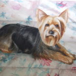 yorkie
24" X 30"
Watercolor on paper